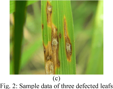 Figure 2 for Fault Area Detection in Leaf Diseases using k-means Clustering