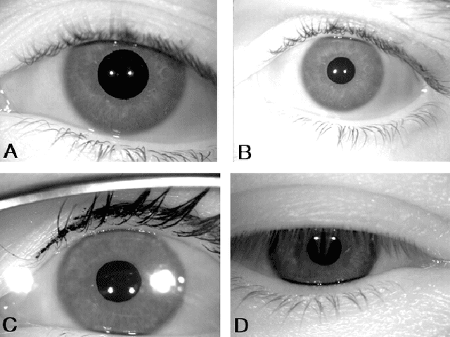 Figure 1 for Linear regression analysis of template aging in iris biometrics