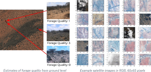 Figure 1 for Satellite-based Prediction of Forage Conditions for Livestock in Northern Kenya
