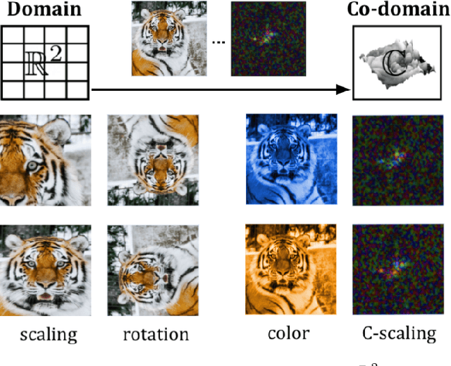 Figure 1 for Co-domain Symmetry for Complex-Valued Deep Learning