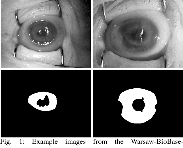 Figure 1 for Data-Driven Segmentation of Post-mortem Iris Images
