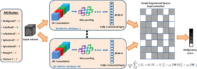 Figure 3 for Risk Stratification of Lung Nodules Using 3D CNN-Based Multi-task Learning