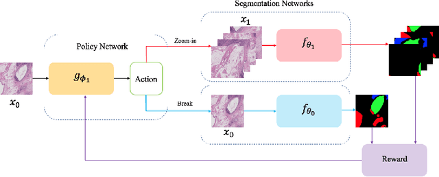 Figure 4 for Reinforced Auto-Zoom Net: Towards Accurate and Fast Breast Cancer Segmentation in Whole-slide Images