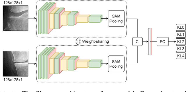 Figure 3 for Semixup: In- and Out-of-Manifold Regularization for Deep Semi-Supervised Knee Osteoarthritis Severity Grading from Plain Radiographs