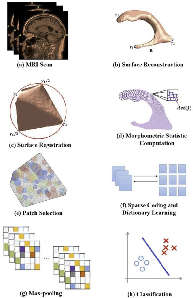 Figure 2 for Predicting Future Cognitive Decline with Hyperbolic Stochastic Coding