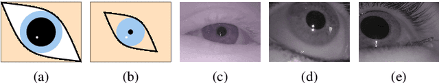 Figure 2 for PuRe: Robust pupil detection for real-time pervasive eye tracking