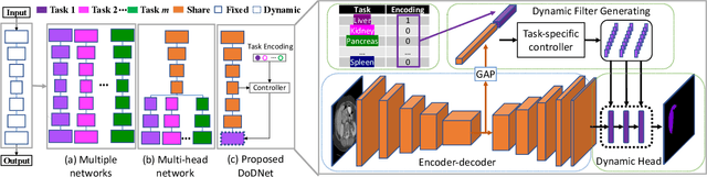 Figure 3 for DoDNet: Learning to segment multi-organ and tumors from multiple partially labeled datasets