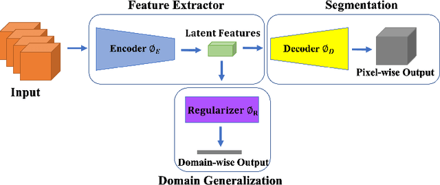 Figure 1 for Scanner Invariant Multiple Sclerosis Lesion Segmentation from MRI