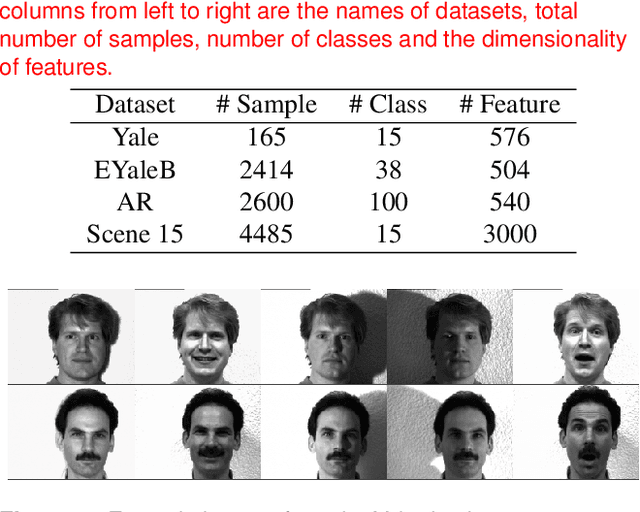 Figure 2 for A sparsity augmented probabilistic collaborative representation based classification method