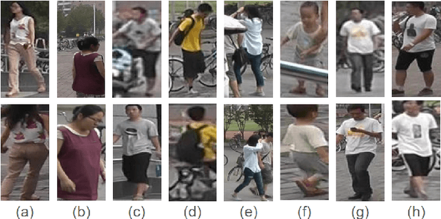 Figure 1 for Pose Invariant Person Re-Identification using Robust Pose-transformation GAN