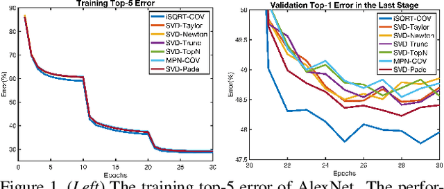 Figure 1 for Why Approximate Matrix Square Root Outperforms Accurate SVD in Global Covariance Pooling?