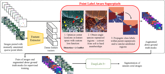 Figure 2 for Point Label Aware Superpixels for Multi-species Segmentation of Underwater Imagery