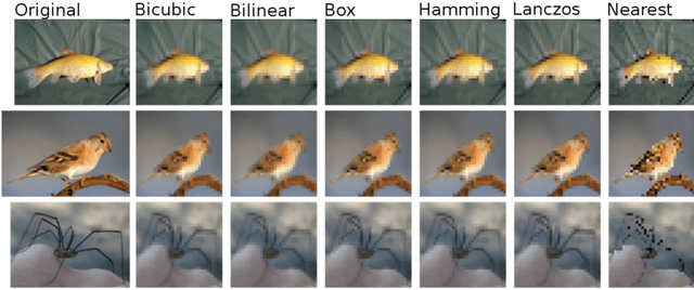 Figure 1 for A Downsampled Variant of ImageNet as an Alternative to the CIFAR datasets