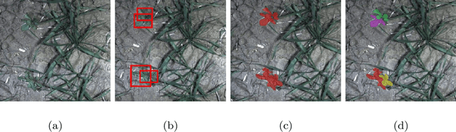 Figure 2 for Deep Learning Techniques for In-Crop Weed Identification: A Review