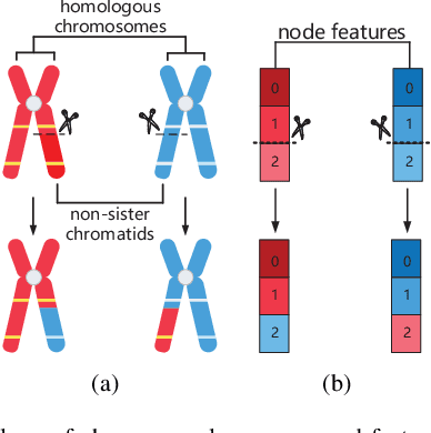 Figure 4 for Hyperspectral Image Classification With Contrastive Graph Convolutional Network