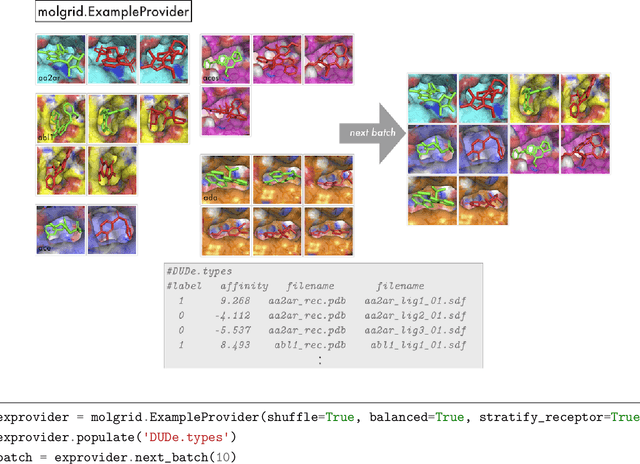 Figure 2 for libmolgrid: GPU Accelerated Molecular Gridding for Deep Learning Applications