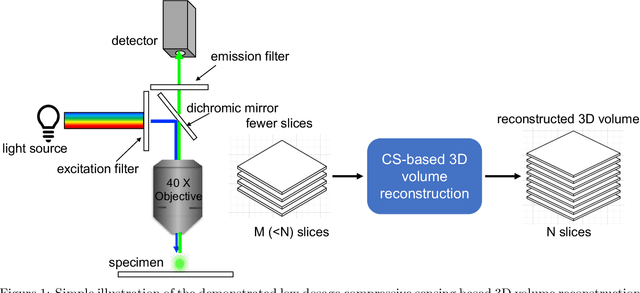 Figure 1 for Low dosage 3D volume fluorescence microscopy imaging using compressive sensing