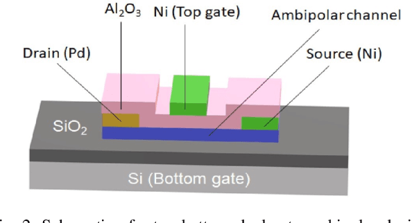 Figure 3 for Exploiting Dual-Gate Ambipolar CNFETs for Scalable Machine Learning Classification