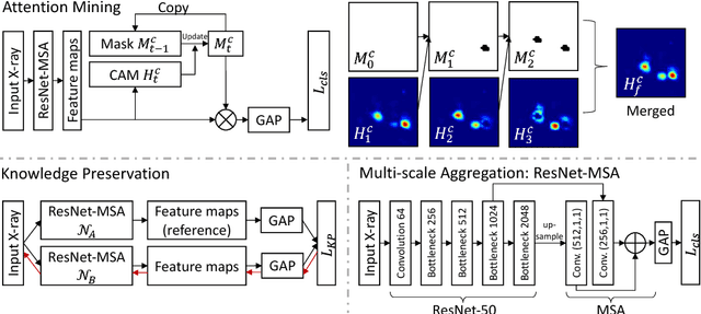 Figure 1 for Iterative Attention Mining for Weakly Supervised Thoracic Disease Pattern Localization in Chest X-Rays