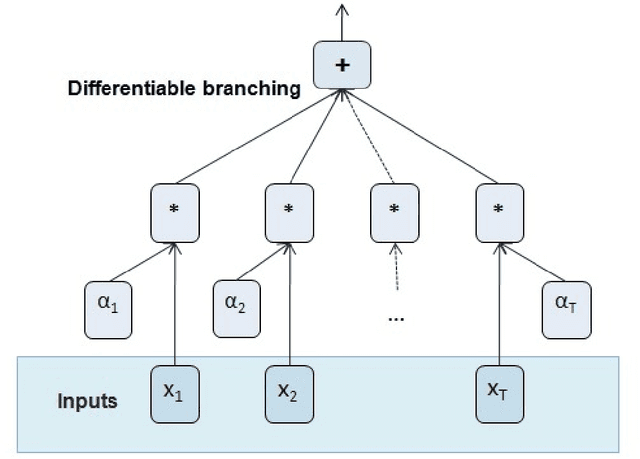 Figure 1 for Differentiable programming: Generalization, characterization and limitations of deep learning