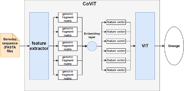 Figure 3 for CoViT: Real-time phylogenetics for the SARS-CoV-2 pandemic using Vision Transformers