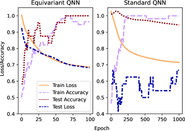 Figure 2 for Theoretical Guarantees for Permutation-Equivariant Quantum Neural Networks