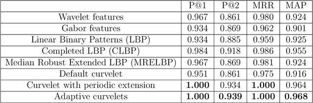 Figure 2 for Texture retrieval using periodically extended and adaptive curvelets