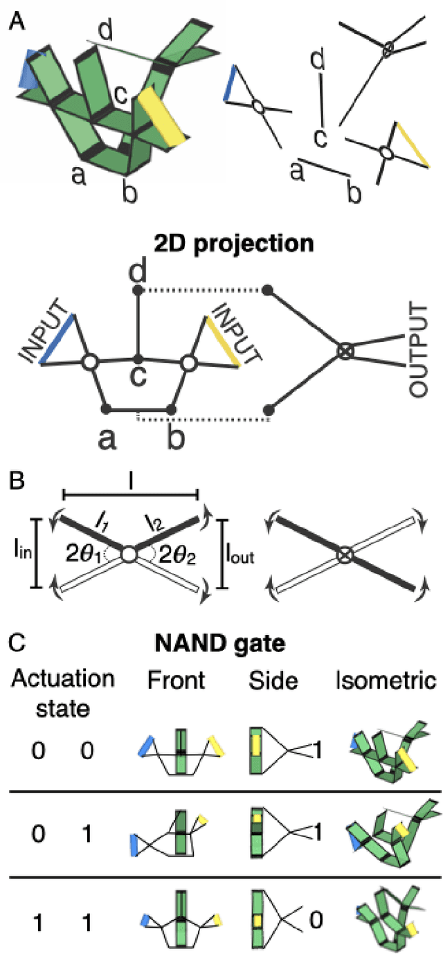 Figure 3 for Muscle-inspired flexible mechanical logic architecture for colloidal robotics