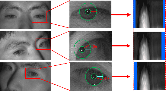 Figure 1 for Alignment Free and Distortion Robust Iris Recognition