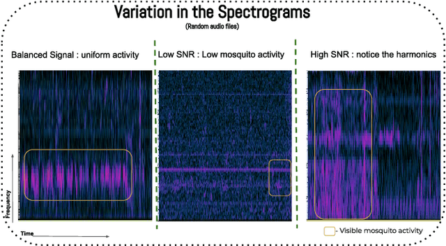 Figure 4 for Deep Learning-Based Acoustic Mosquito Detection in Noisy Conditions Using Trainable Kernels and Augmentations
