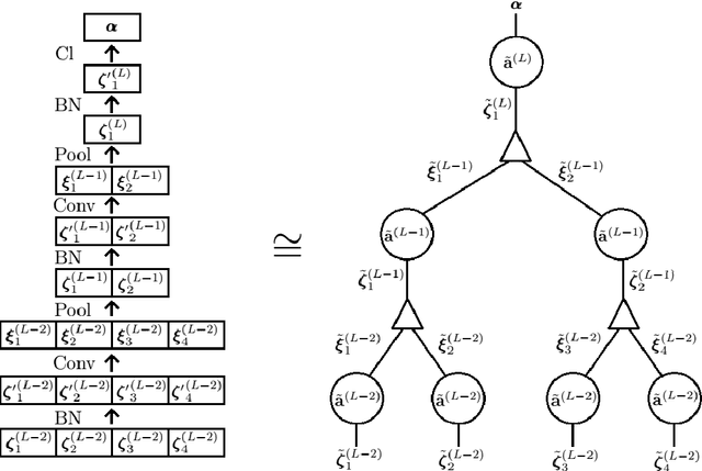 Figure 1 for Entangled q-Convolutional Neural Nets