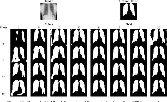 Figure 4 for Learning to Segment Medical Images from Few-Shot Sparse Labels