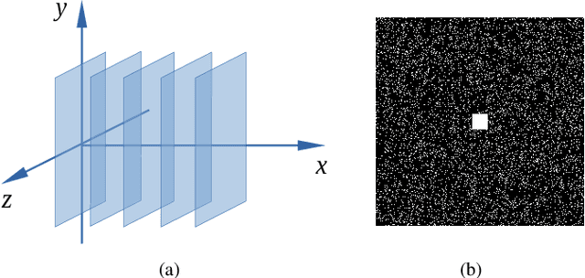 Figure 1 for Fast Nonconvex $T_2^*$ Mapping Using ADMM
