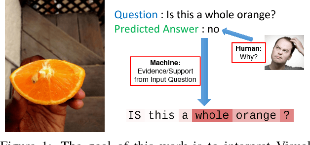 Figure 1 for Towards Transparent AI Systems: Interpreting Visual Question Answering Models