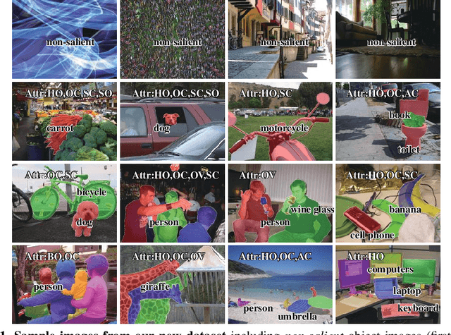Figure 1 for Salient Objects in Clutter: Bringing Salient Object Detection to the Foreground