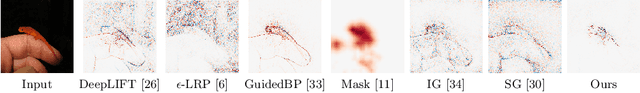Figure 1 for Learning Propagation Rules for Attribution Map Generation