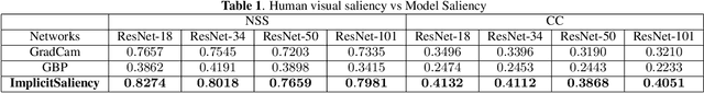Figure 2 for Implicit Saliency in Deep Neural Networks