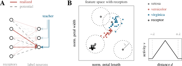 Figure 4 for Structural plasticity on an accelerated analog neuromorphic hardware system