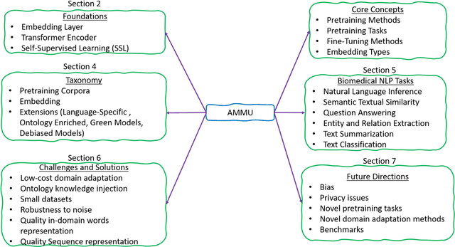 Figure 3 for AMMU -- A Survey of Transformer-based Biomedical Pretrained Language Models