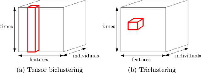 Figure 1 for Multi-Slice Clustering for 3-order Tensor Data
