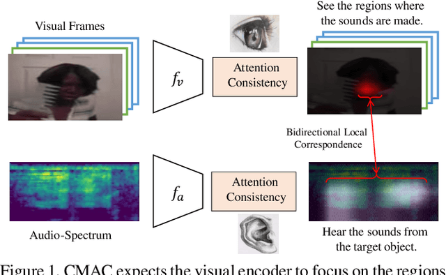 Figure 1 for Cross-Modal Attention Consistency for Video-Audio Unsupervised Learning