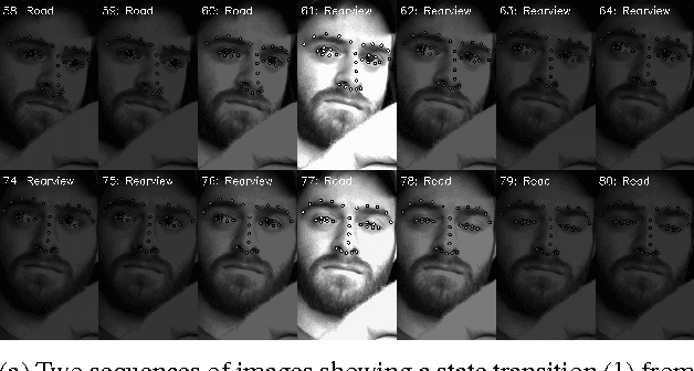 Figure 3 for Semi-Automated Annotation of Discrete States in Large Video Datasets