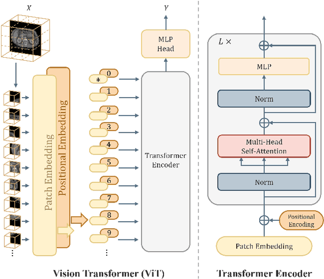 Figure 3 for Transforming medical imaging with Transformers? A comparative review of key properties, current progresses, and future perspectives