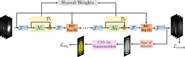 Figure 1 for Reconstruction and Segmentation of Parallel MR Data using Image Domain DEEP-SLR