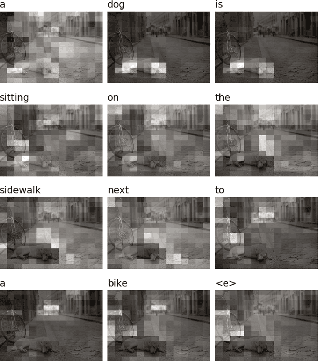 Figure 4 for Can Neural Image Captioning be Controlled via Forced Attention?