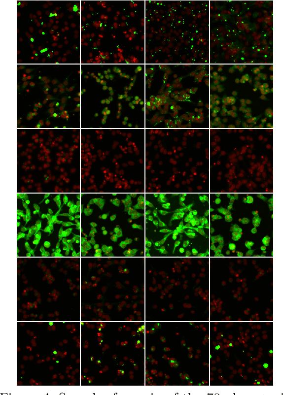 Figure 4 for Phenotypic Profiling of High Throughput Imaging Screens with Generic Deep Convolutional Features