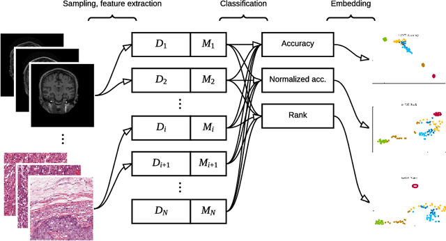 Figure 1 for Exploring the similarity of medical imaging classification problems