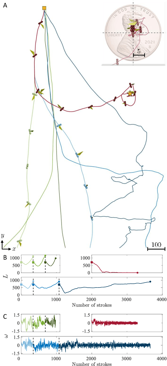 Figure 3 for Control of a fly-mimicking flyer in complex flow using deep reinforcement learning