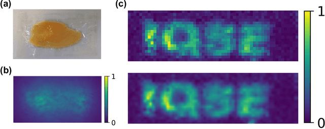Figure 3 for Imaging through scattering media via spatial-temporal encoded pattern illumination