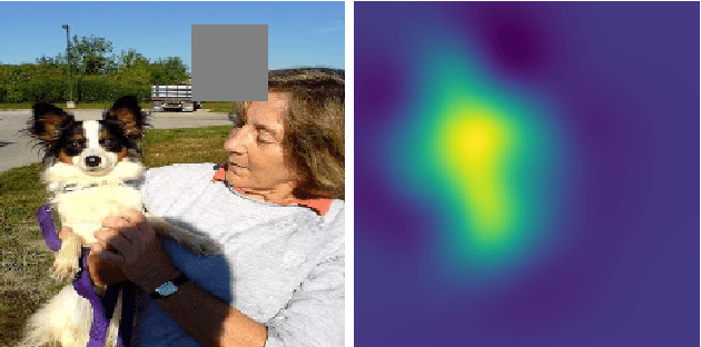 Figure 1 for Black-Box Saliency Map Generation Using Bayesian Optimisation